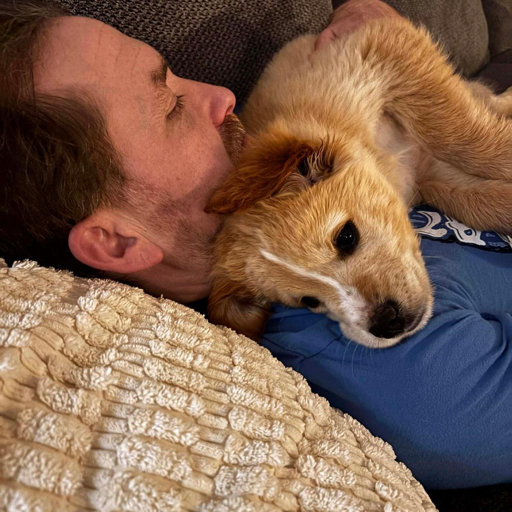 Enlarge Beast, a Adoptable mixed breed in Jackson, MO image 1/6