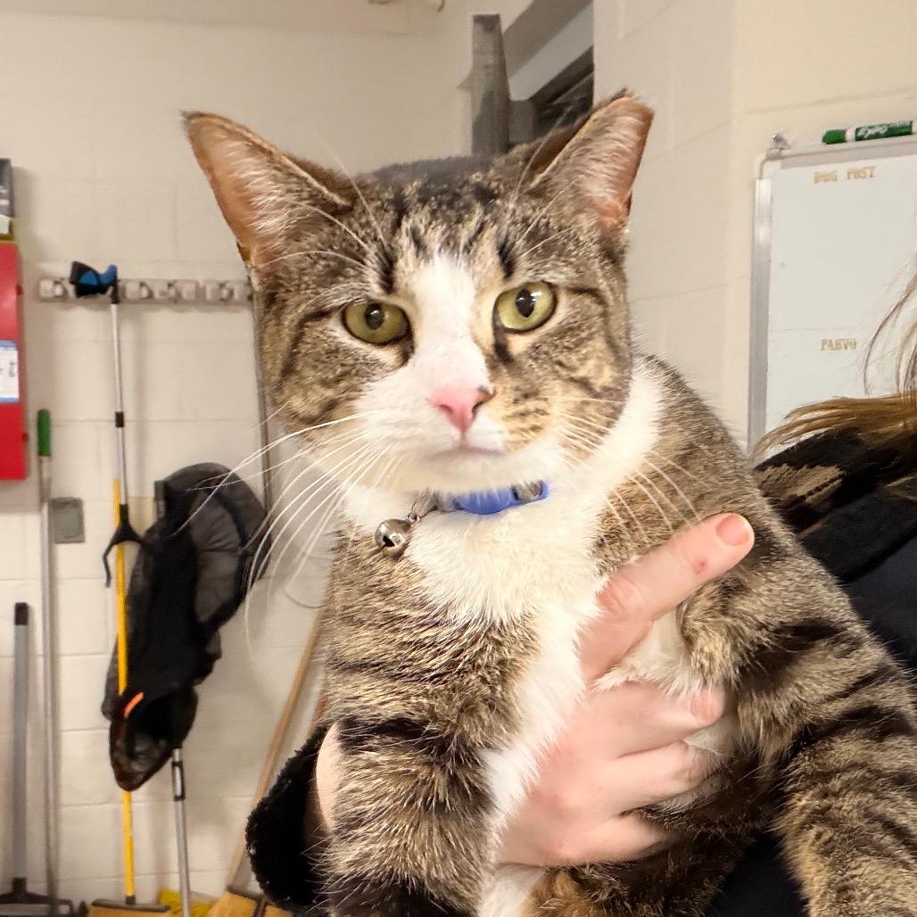 Brenda Louise — thumbnail 2