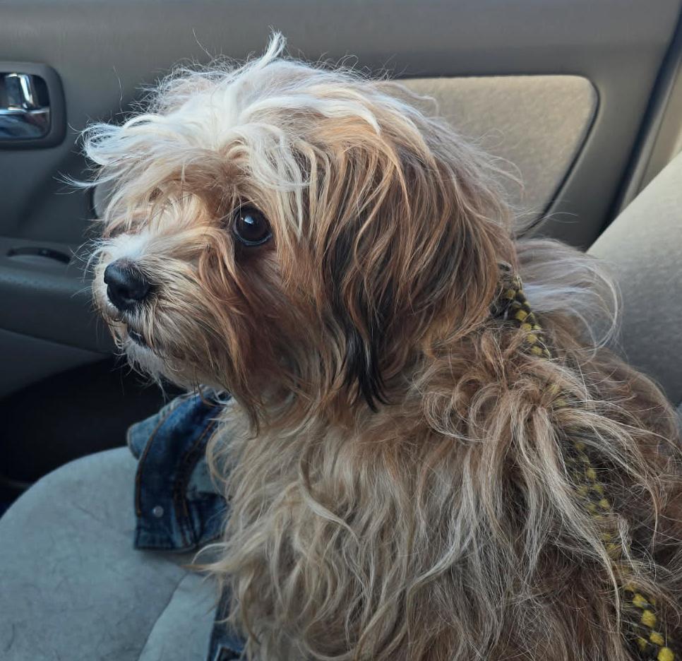 Cuddle Boy Colby = thumbnail 3