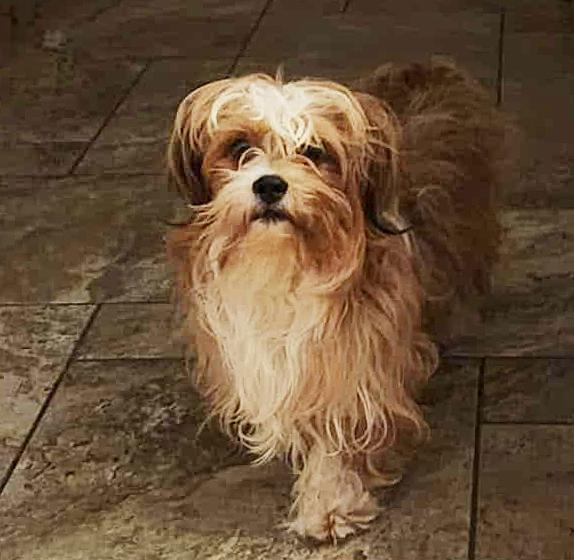 Cuddle Boy Colby = thumbnail 2