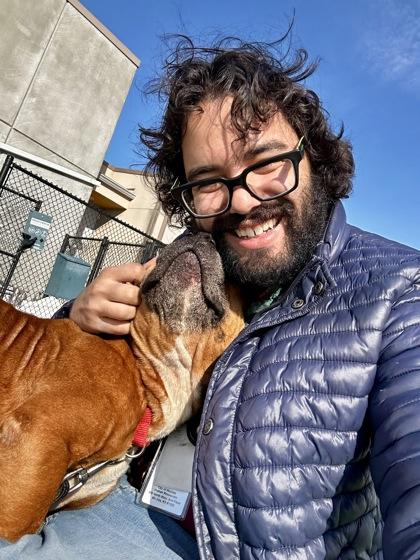 Enlarge Bella, a Adoptable mixed breed in Wichita, KS image 3/3