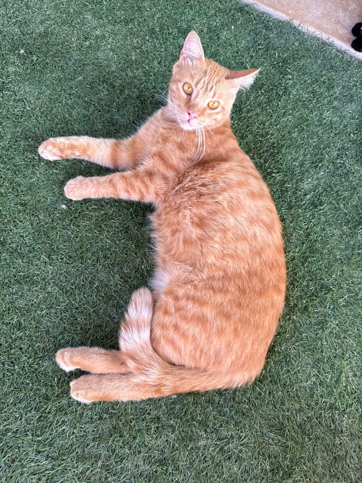 Winnie