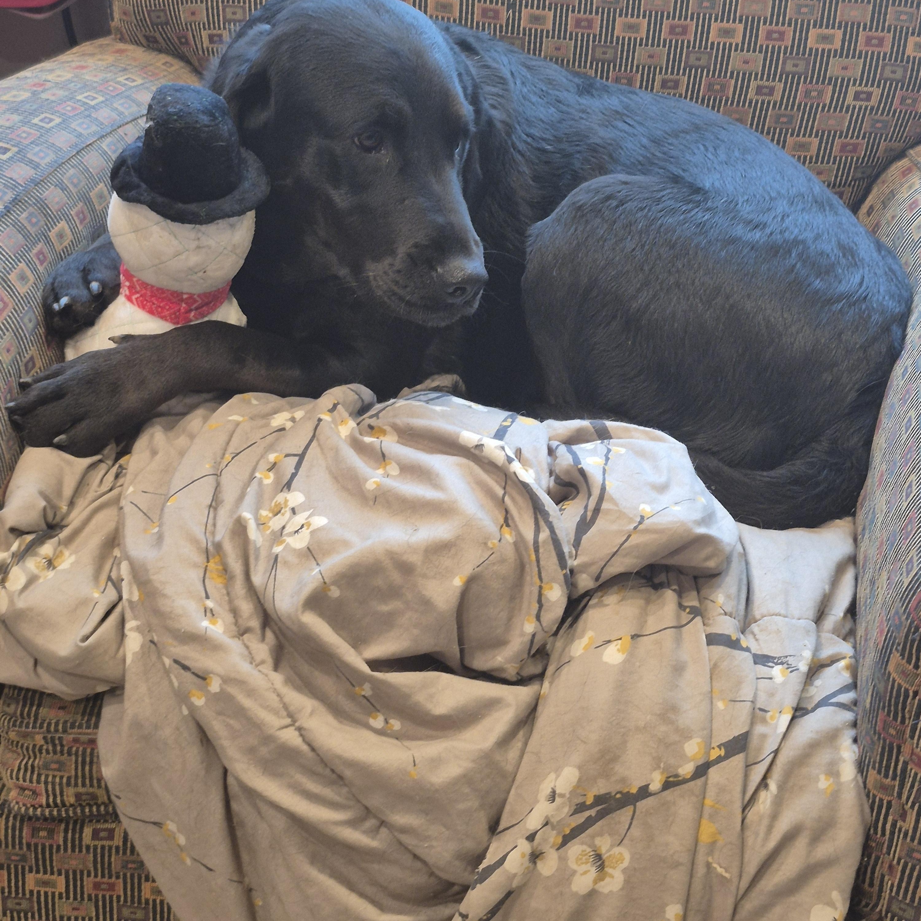 The Golden Girls thumbnail 2