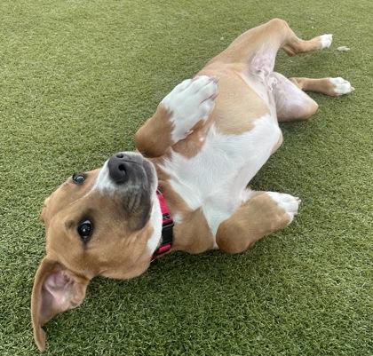 Haley — thumbnail 2