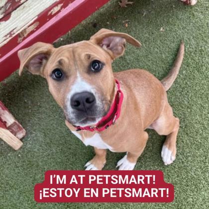 Haley — thumbnail 3