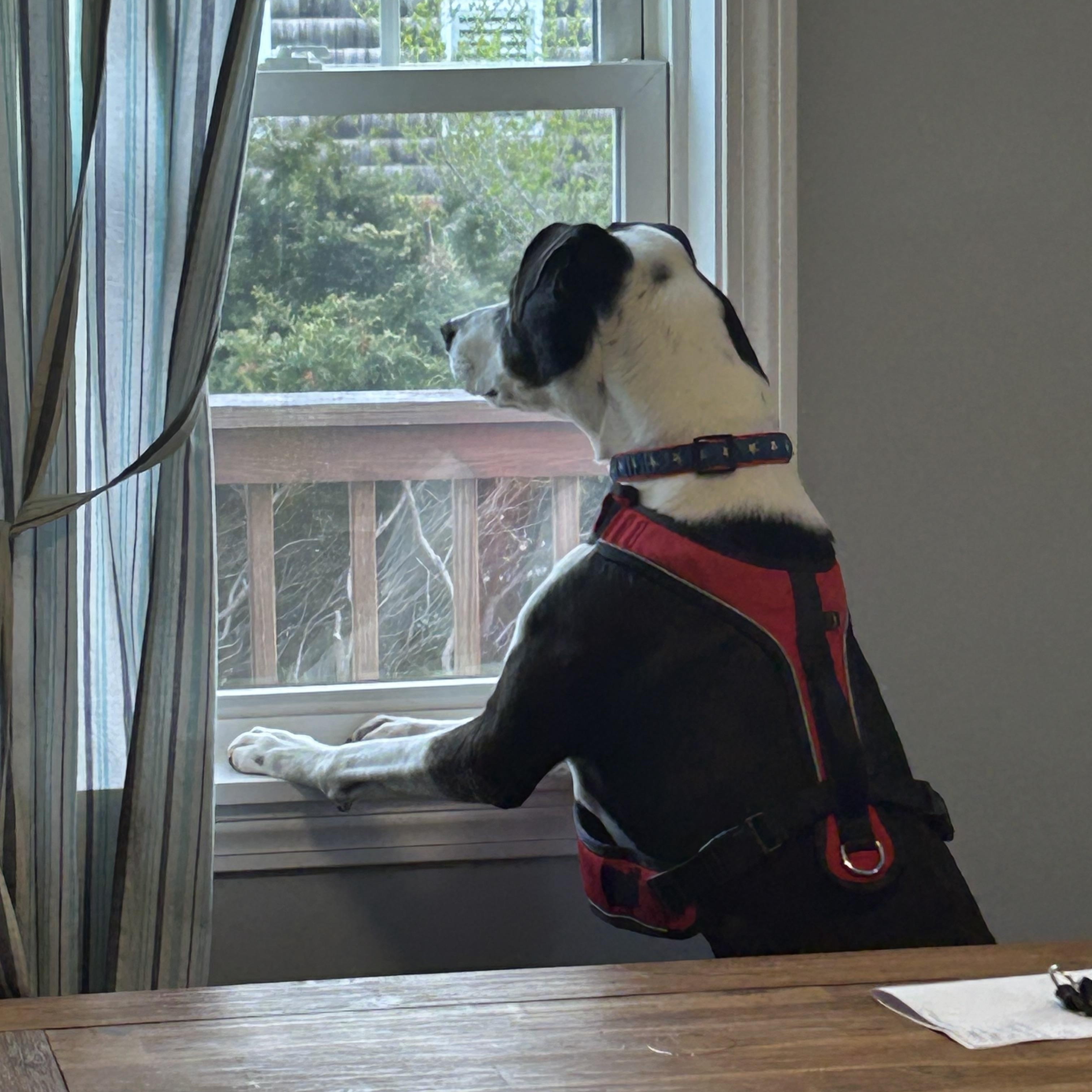 -Winston in New England — thumbnail 2