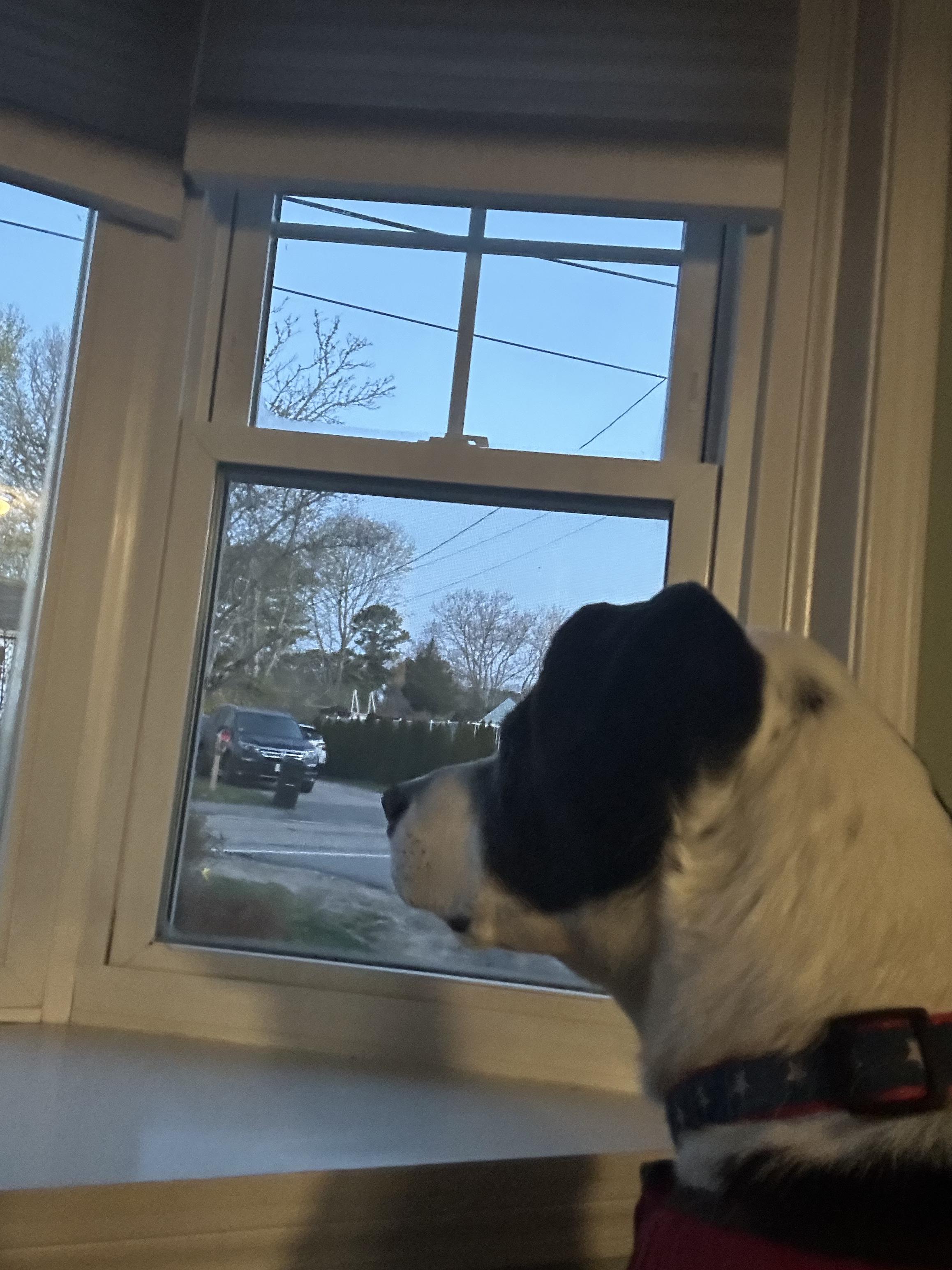 -Winston in New England