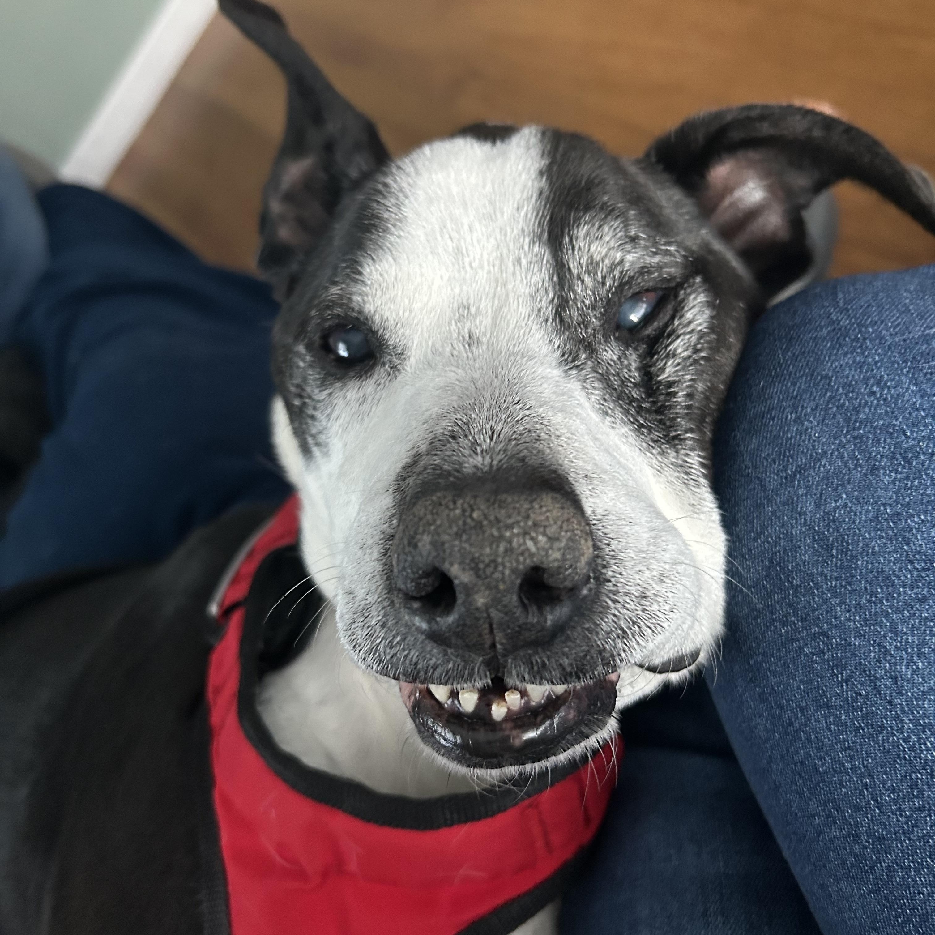 -Winston in New England