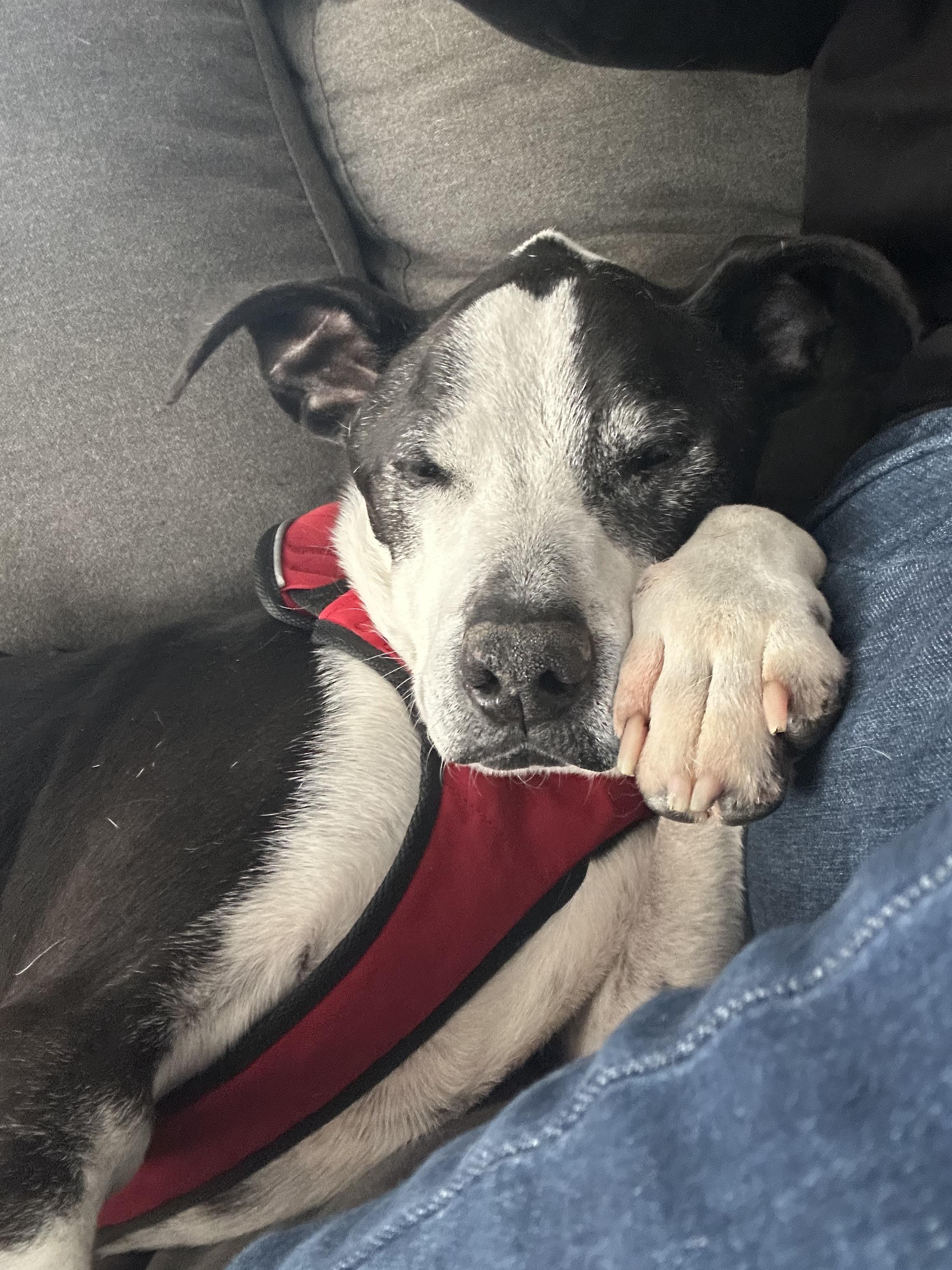 -Winston in New England