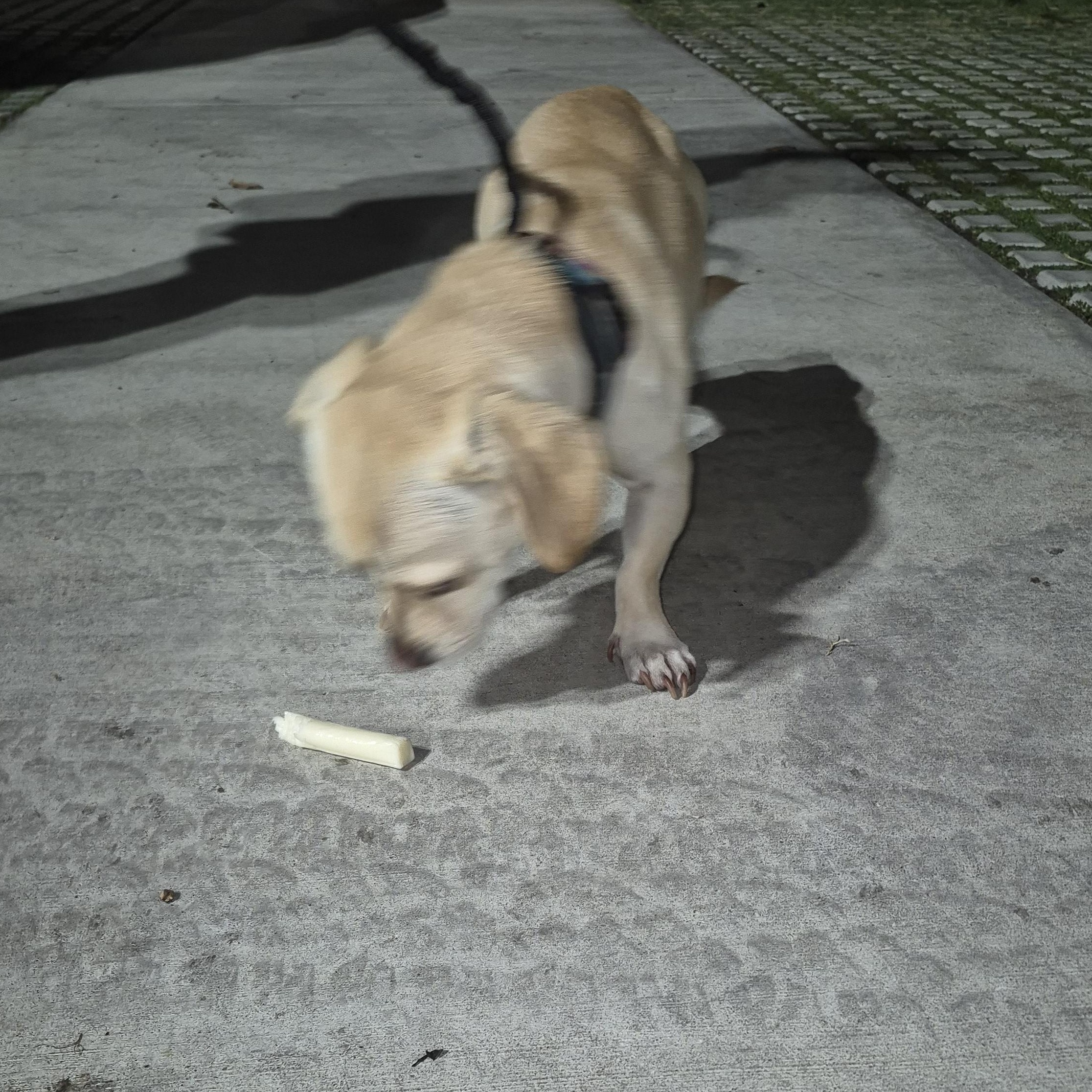 Rolo Lolo thumbnail 3