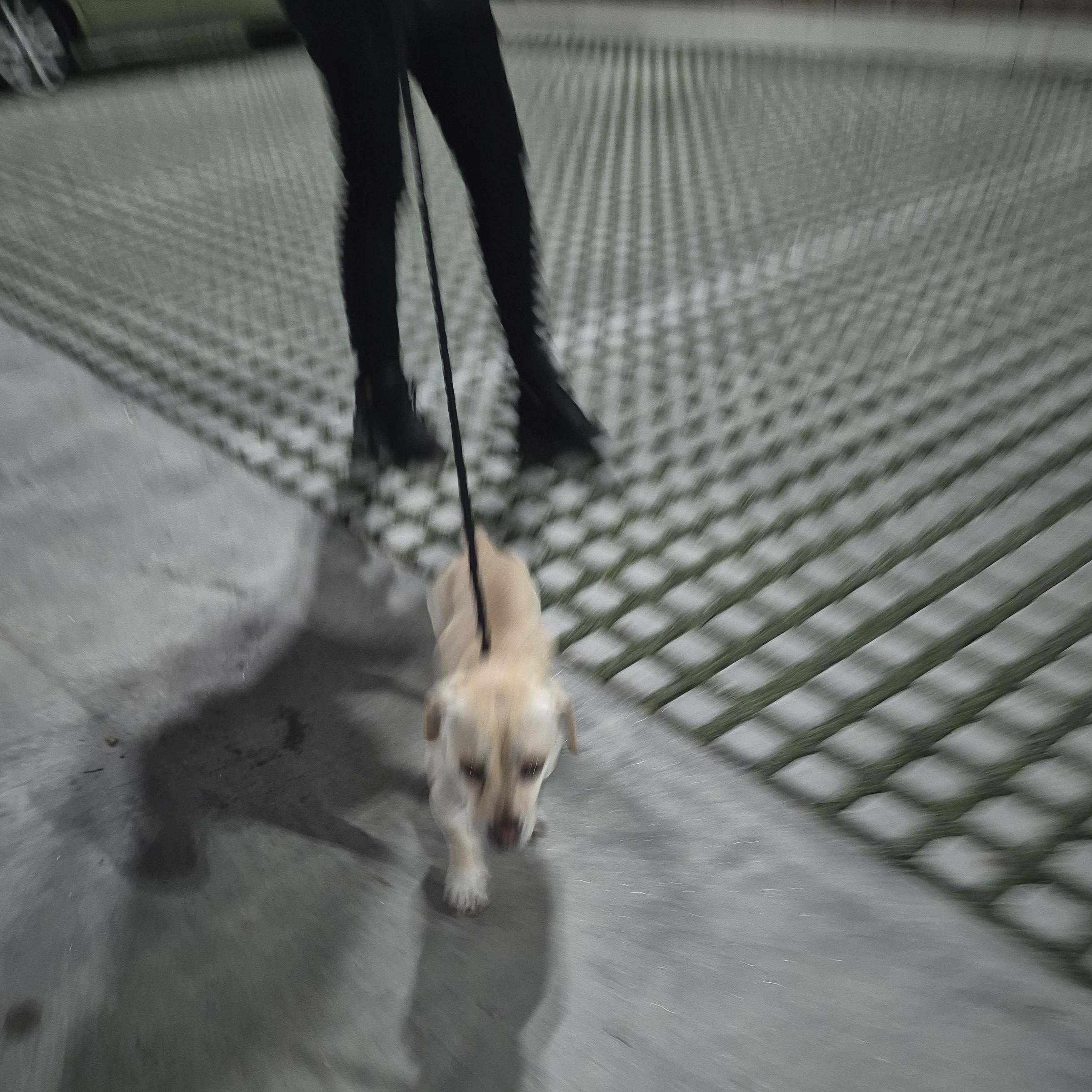 Rolo Lolo thumbnail 4