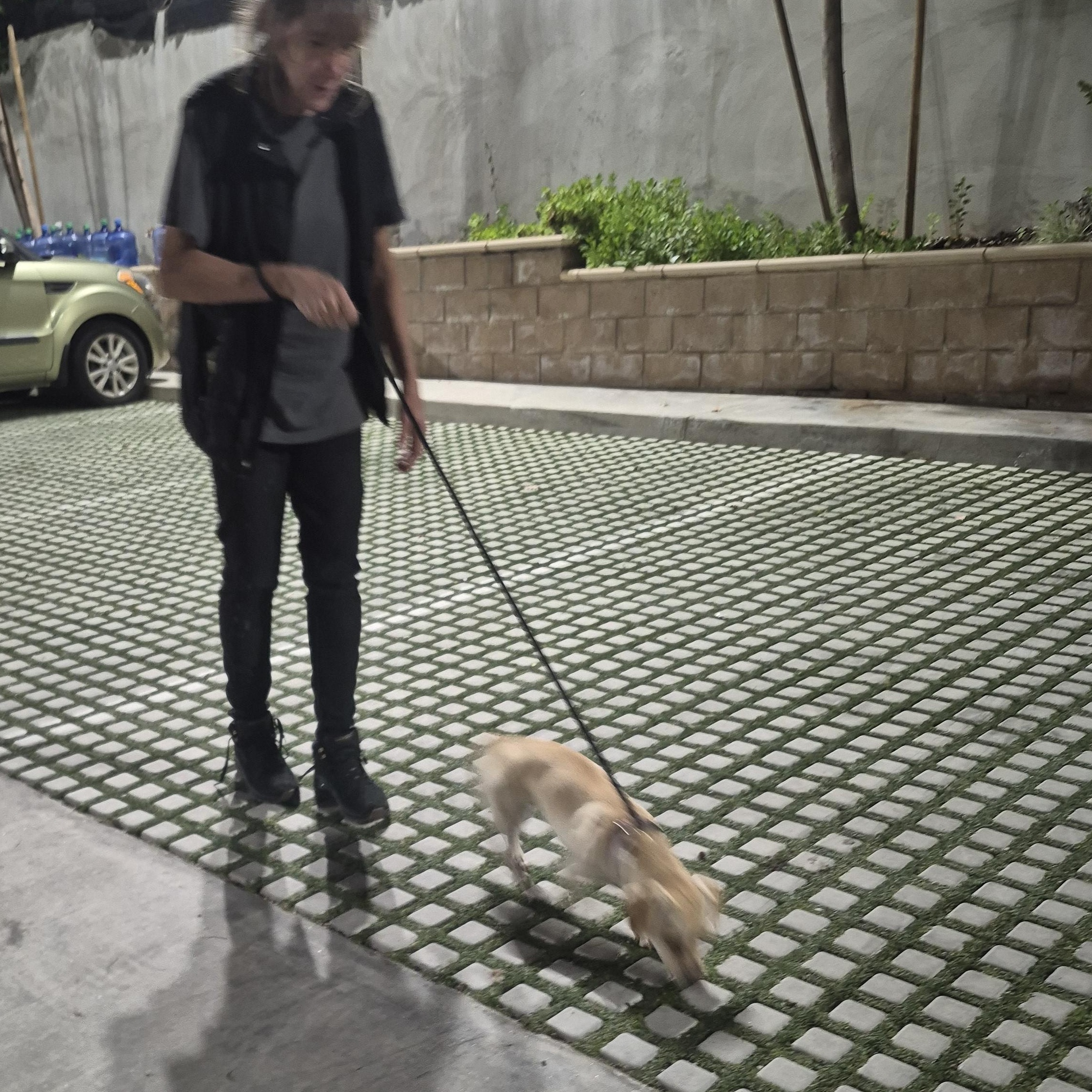 Rolo Lolo thumbnail 7