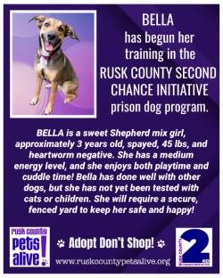 Enlarge Bella, a ADOPTABLE mixed breed in Henderson, TX image 5/5