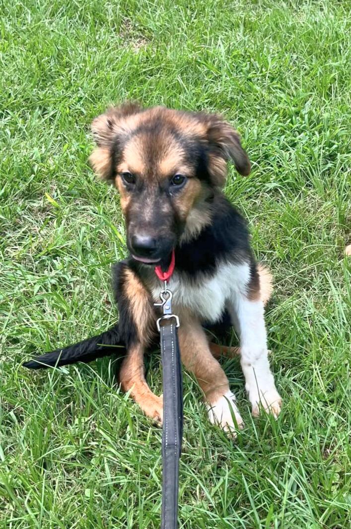 Luke is no longer accepting applications!, Baby Male unknown