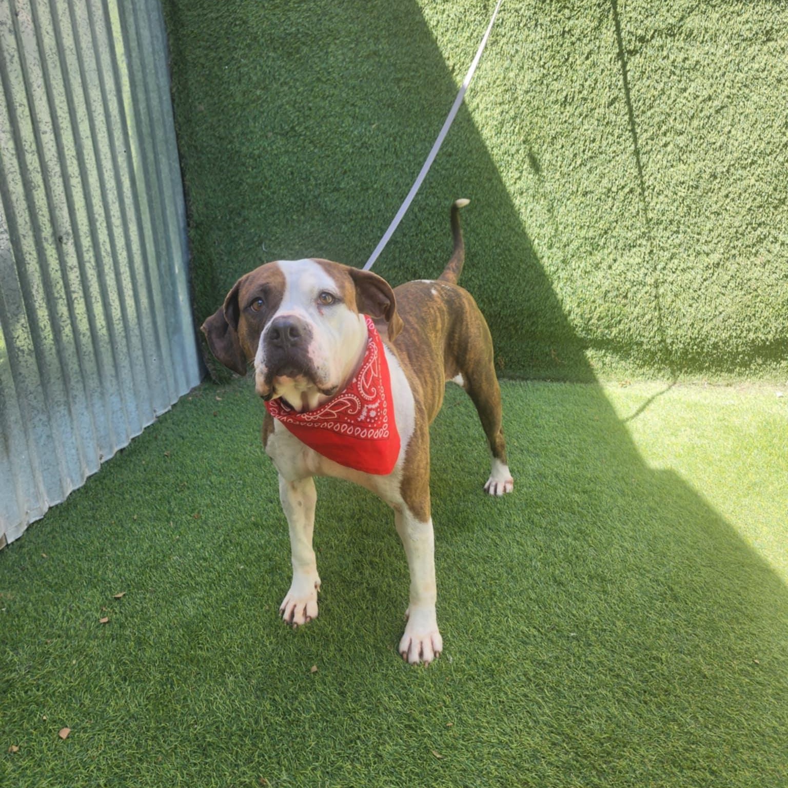 Kiara — thumbnail 4