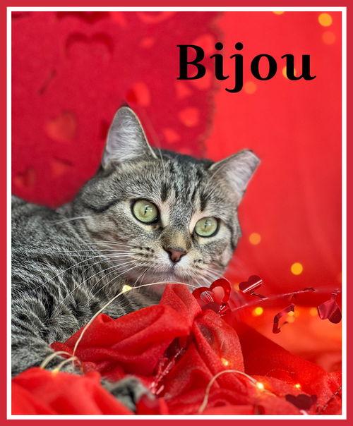 Bijou Willow Grove Area thumbnail 6