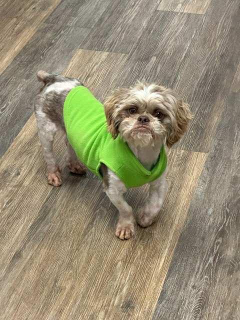 Heartbreaker thumbnail 3