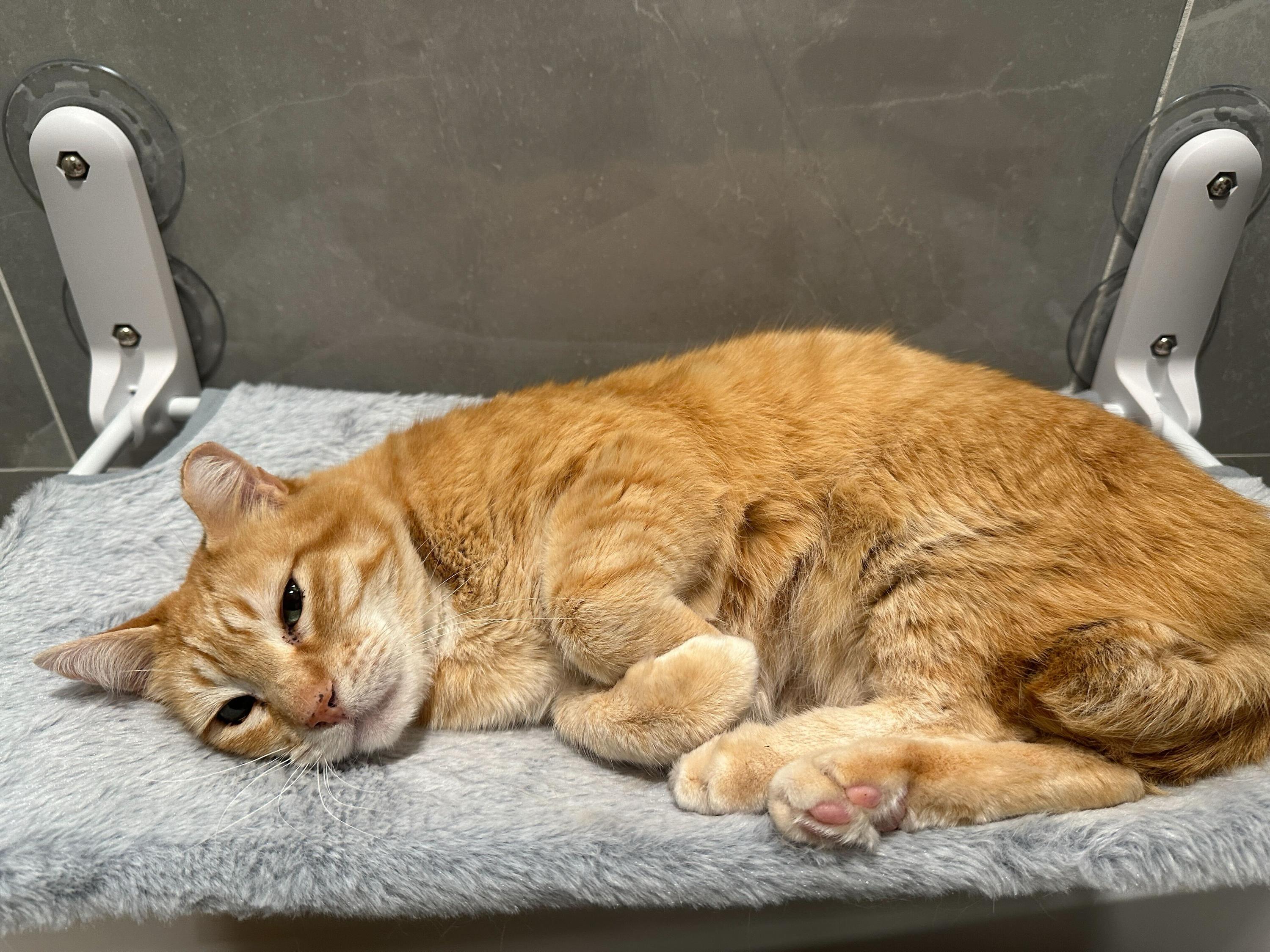 Zonnie, Senior Male unknown