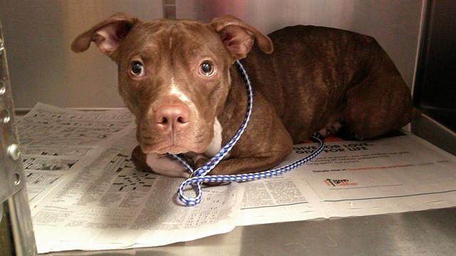 HAZEL FAY — thumbnail 2