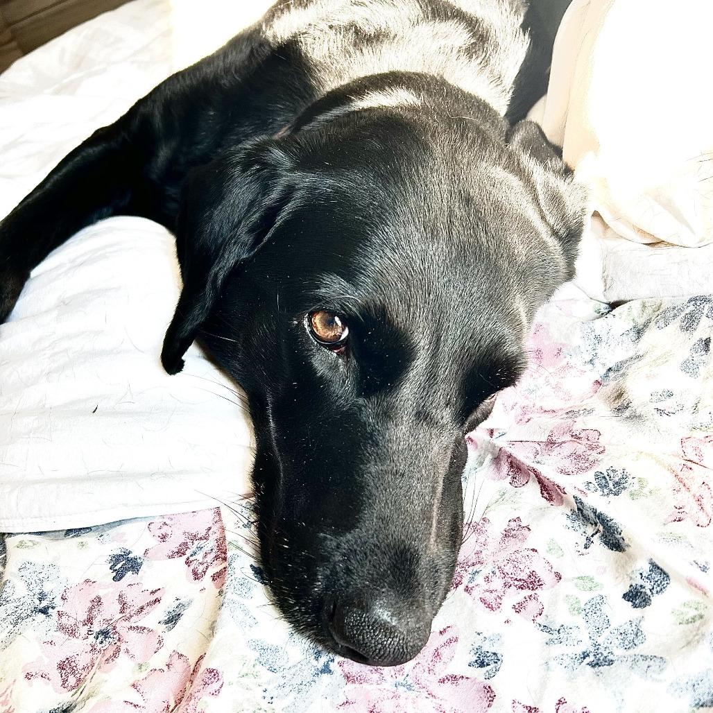 Lucy Lu — thumbnail 2