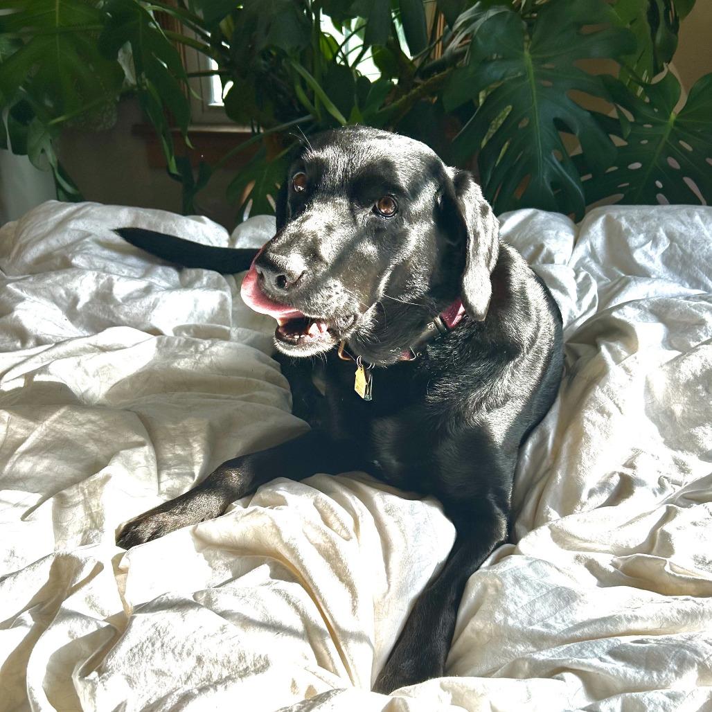 Lucy Lu — thumbnail 3