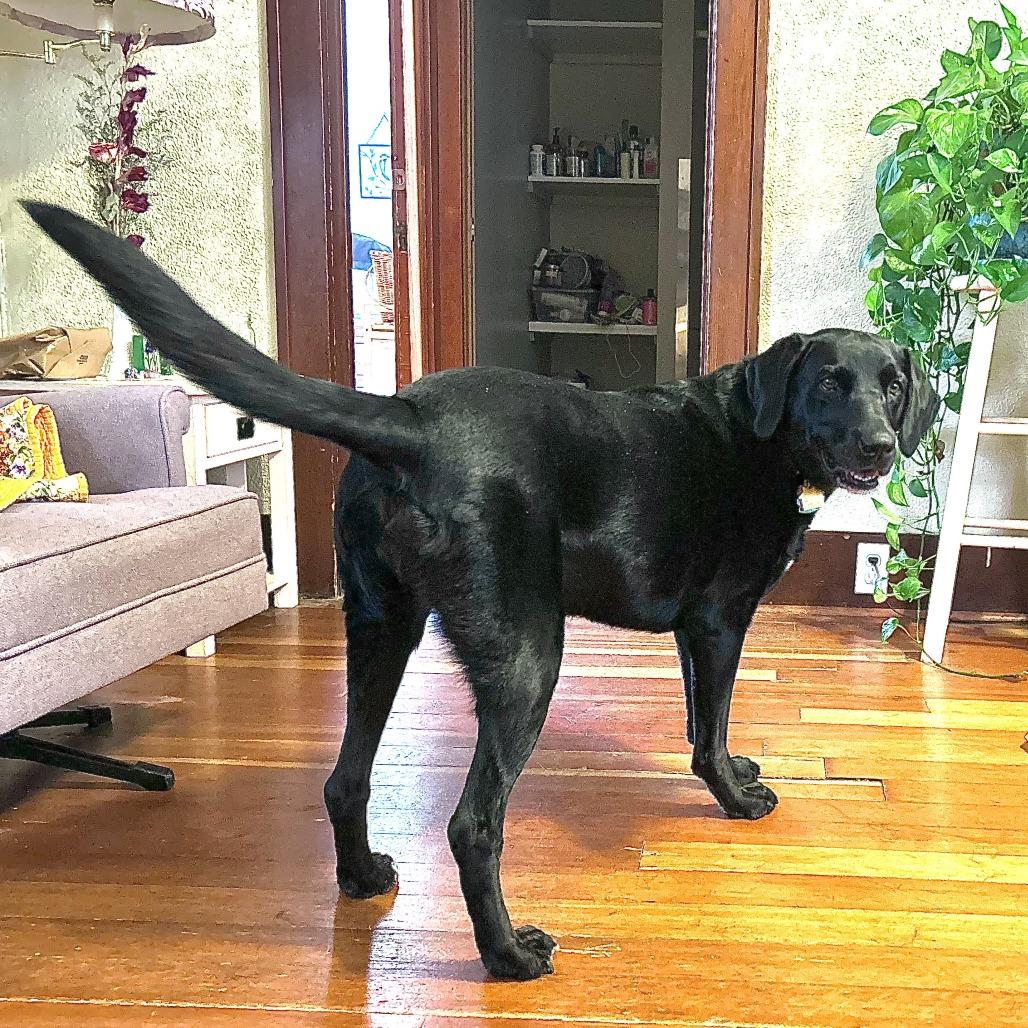 Lucy Lu — thumbnail 6