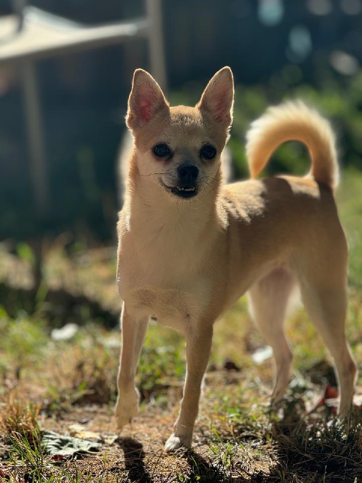 Luna