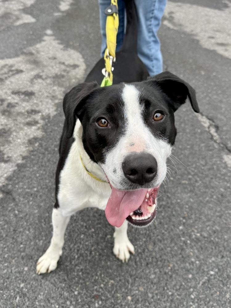 AC - Gumbo aka Gumby