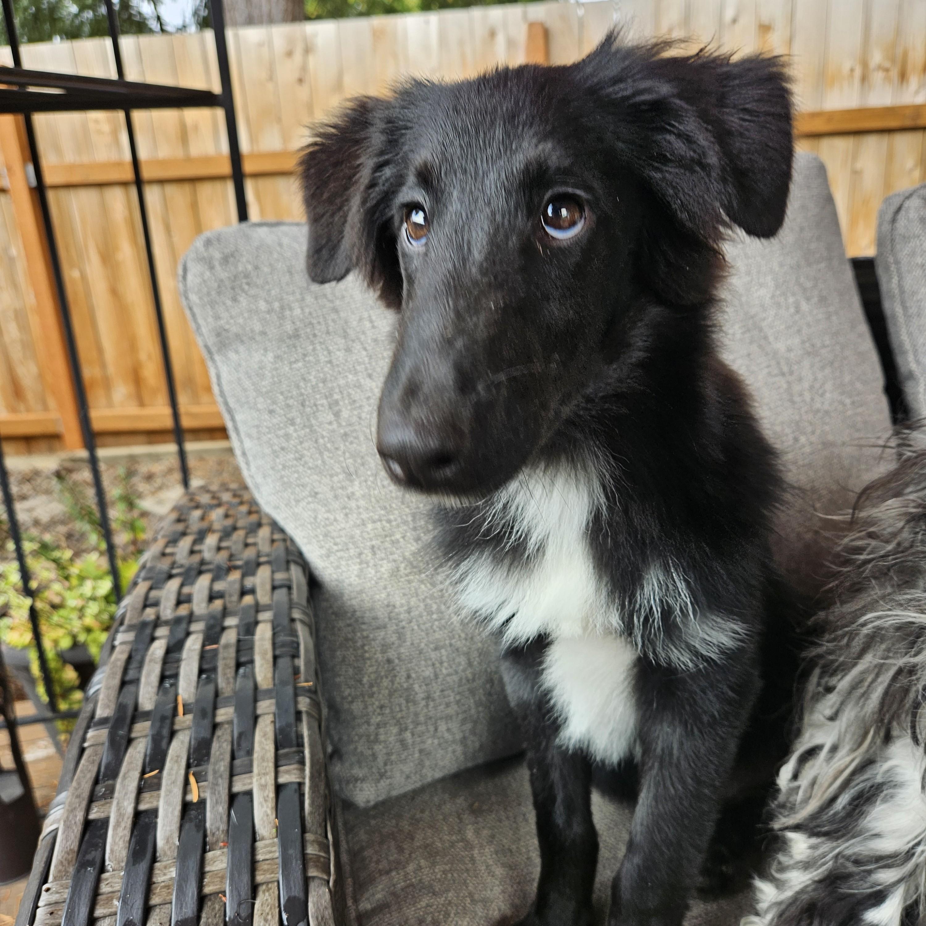 Zeke