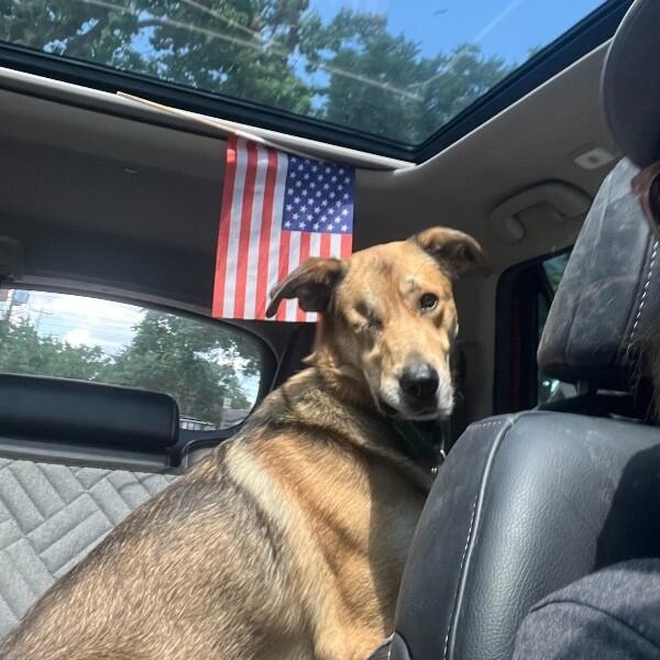 Uno the one eyed wonder — thumbnail 3