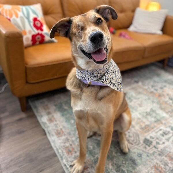 Uno the one eyed wonder — thumbnail 4