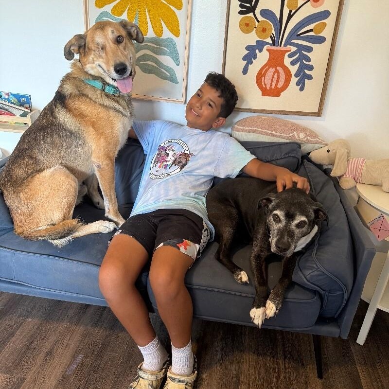 Uno the one eyed wonder — thumbnail 5