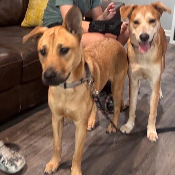 Sandy Duffy — thumbnail 2