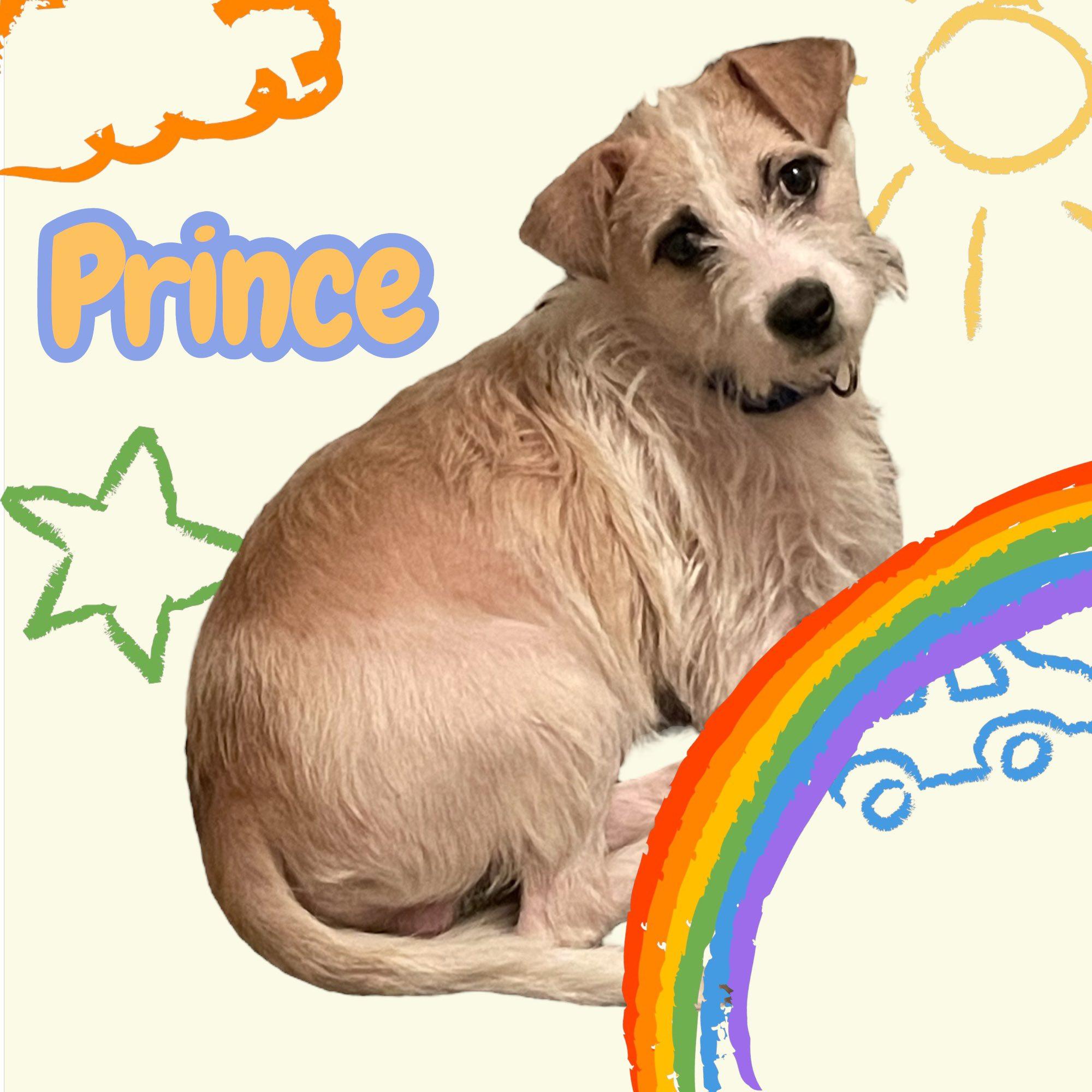 Prince