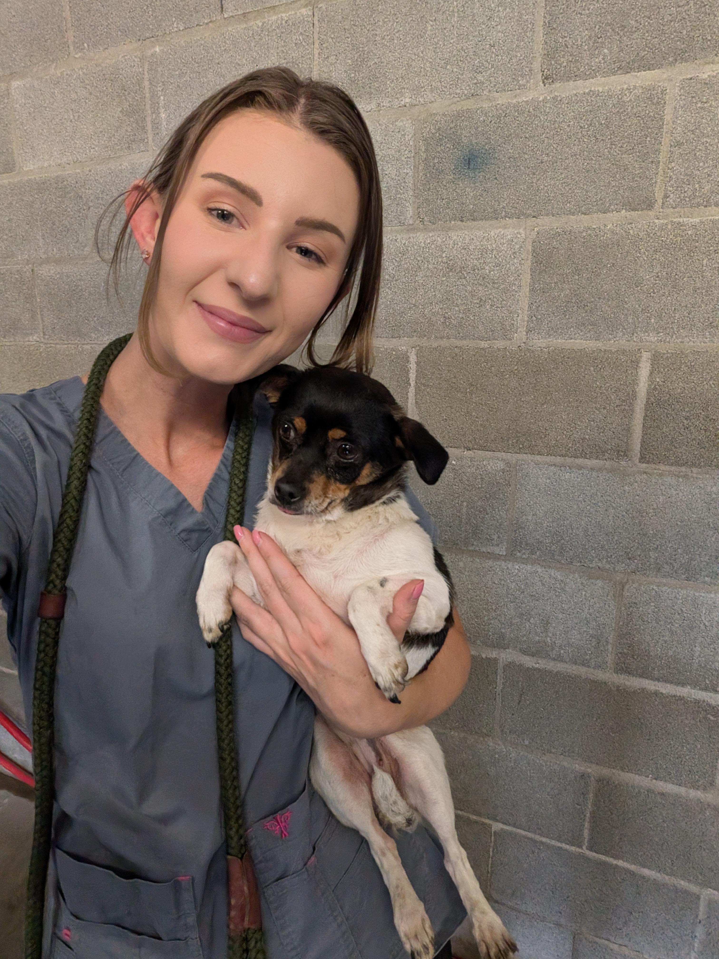 Helga, a ADOPTABLE mixed breed in Hermiston, OR image 3/3
