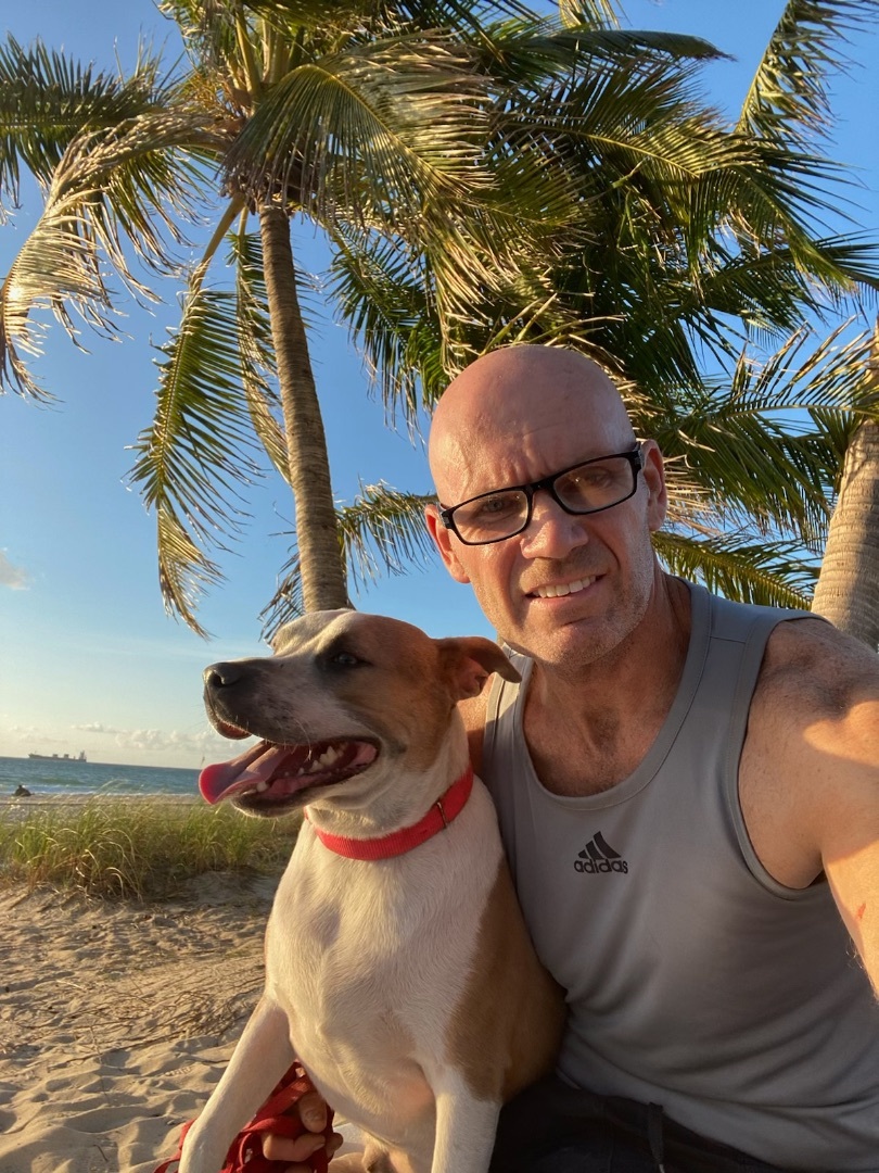 ACE, a Adoptable mixed breed in Fort Lauderdale, FL image 4/12