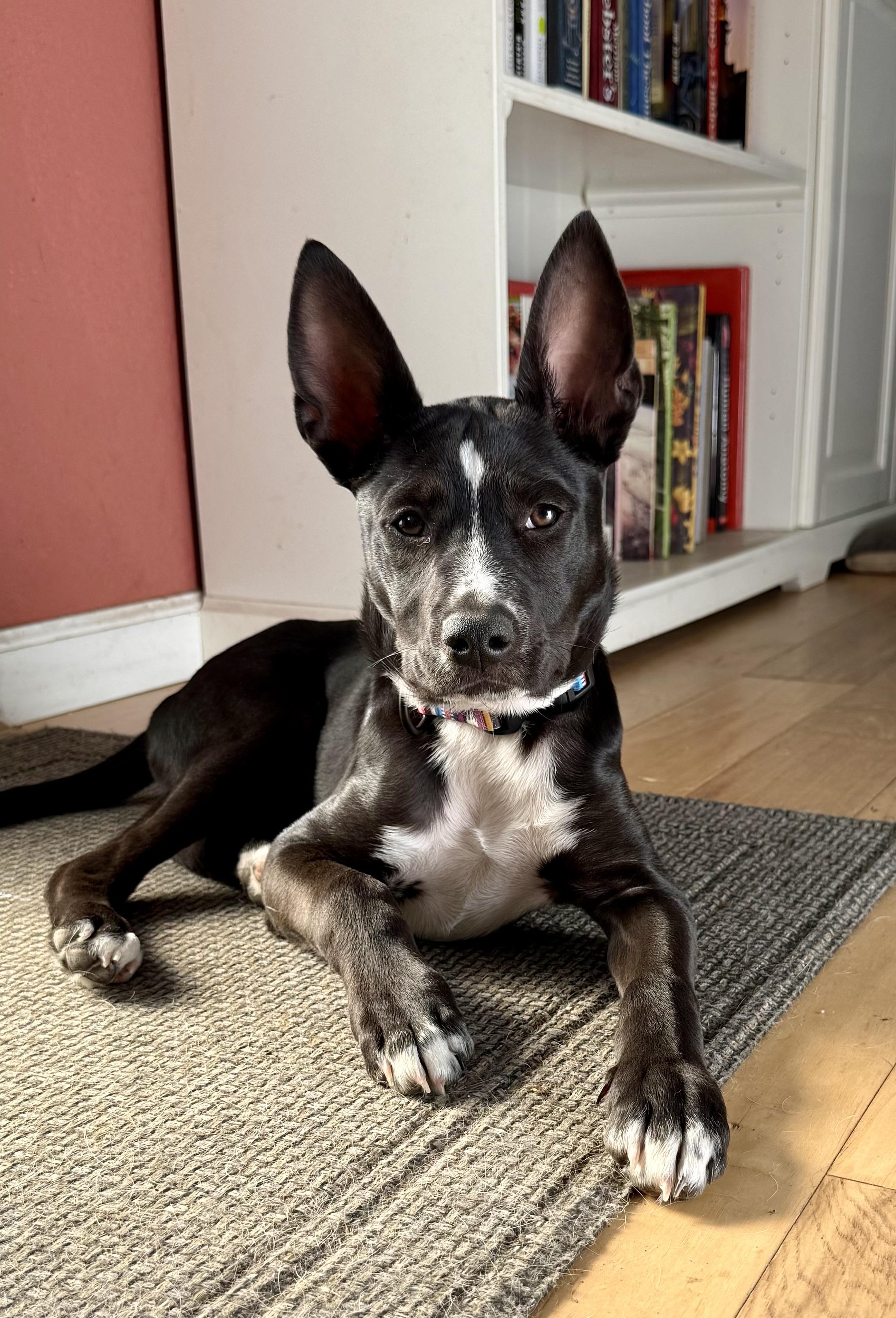 Buster photo 5