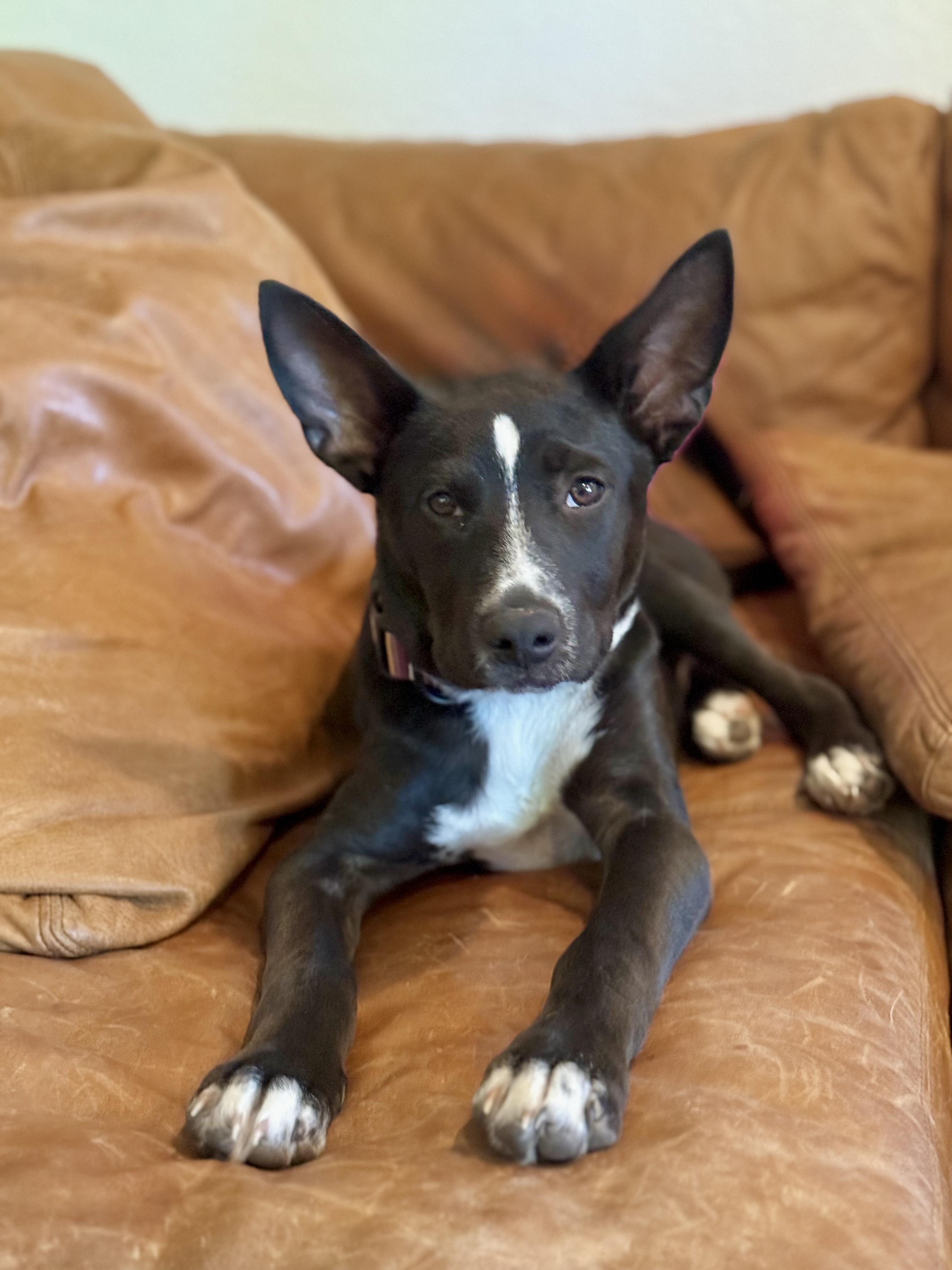 Buster photo 3
