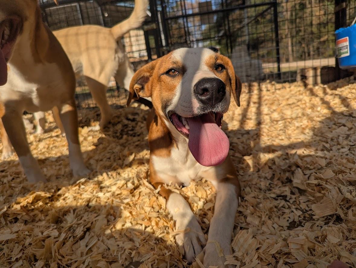 GEORGIA — thumbnail 6