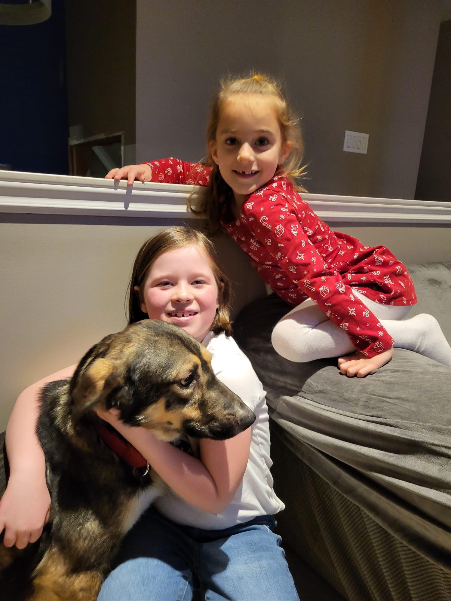 Mikey, a ADOPTABLE mixed breed in Newmarket, ON image 6/6