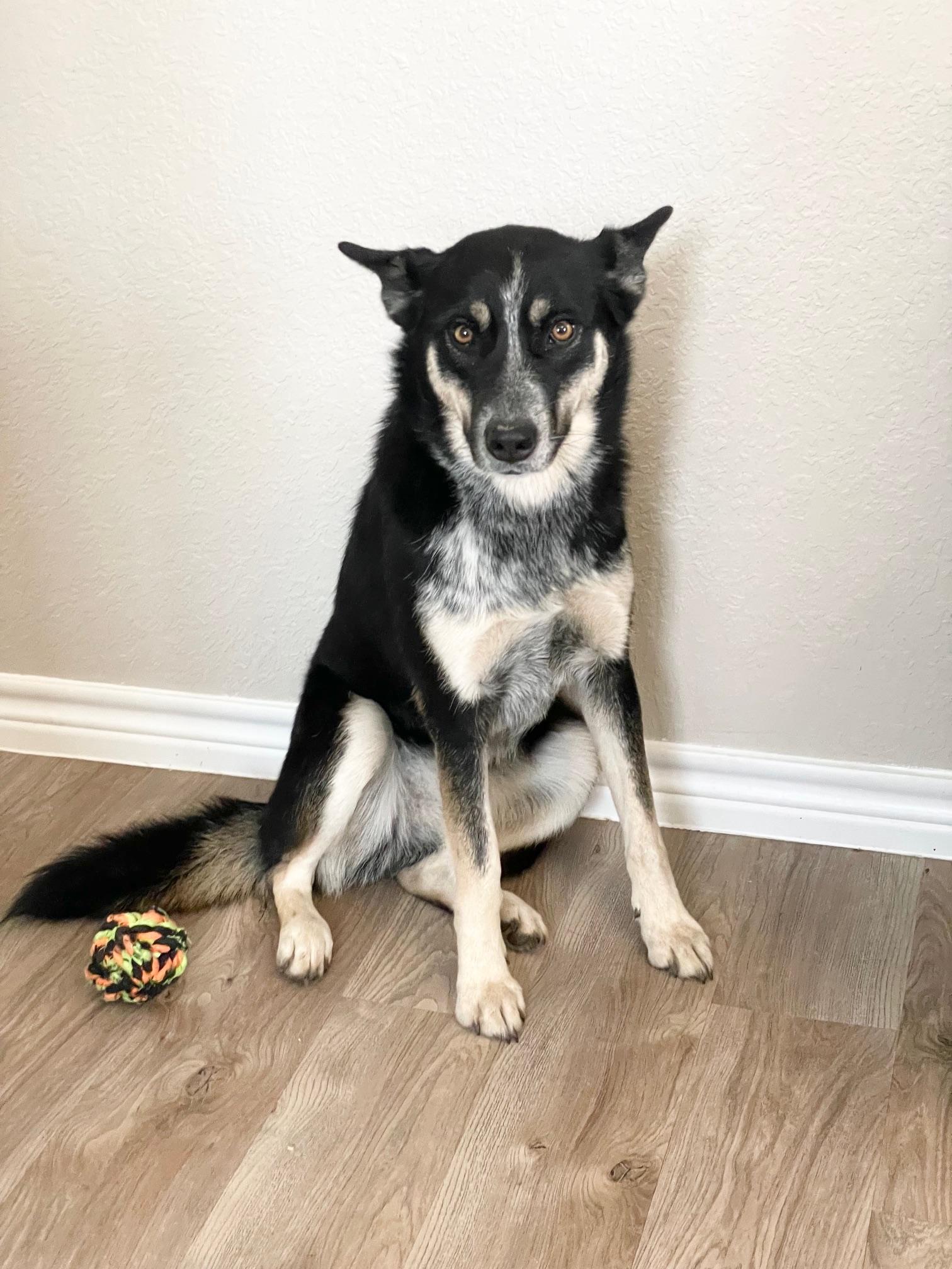 Brilliant Harmony — thumbnail 2