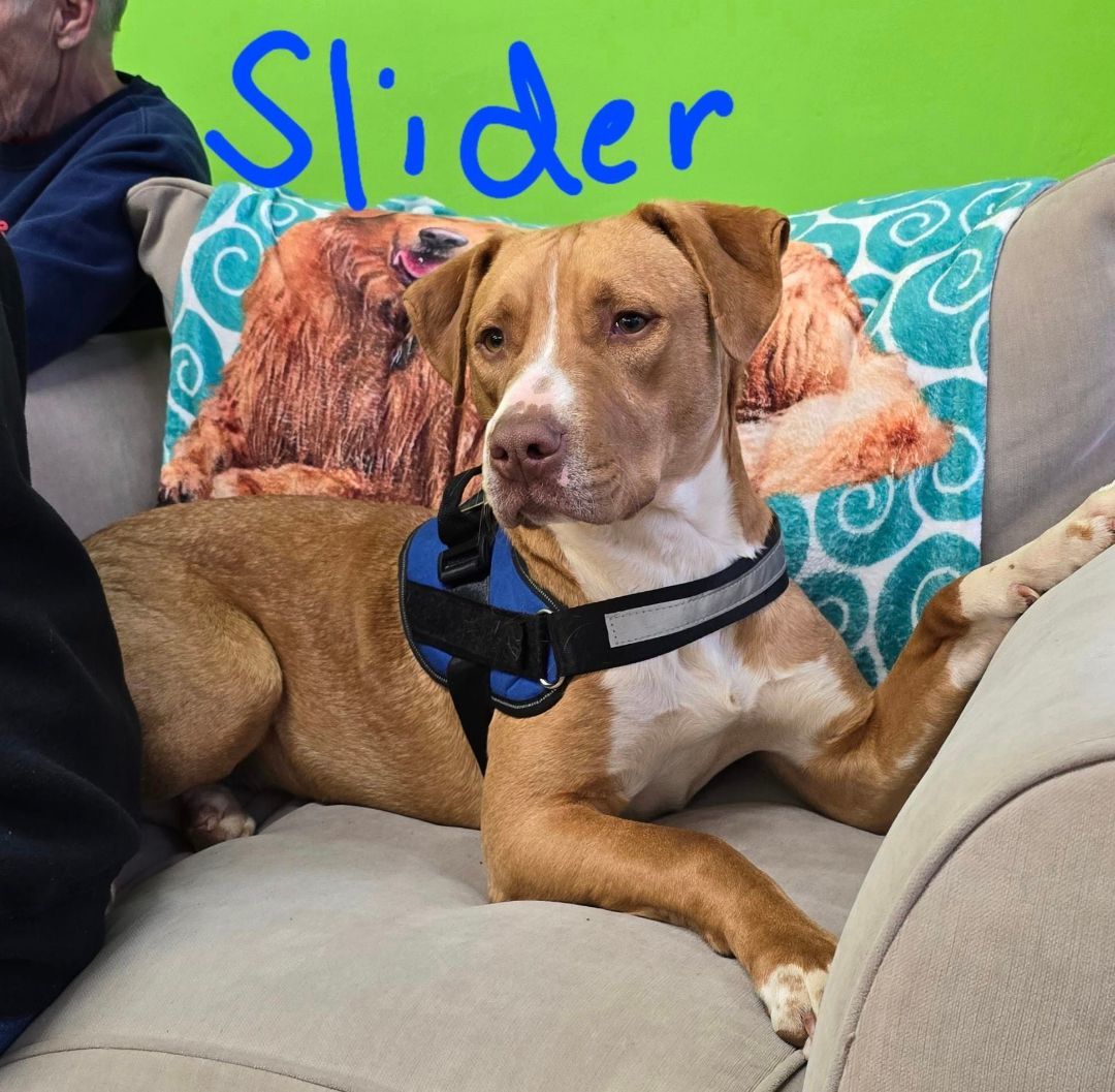 Slider
