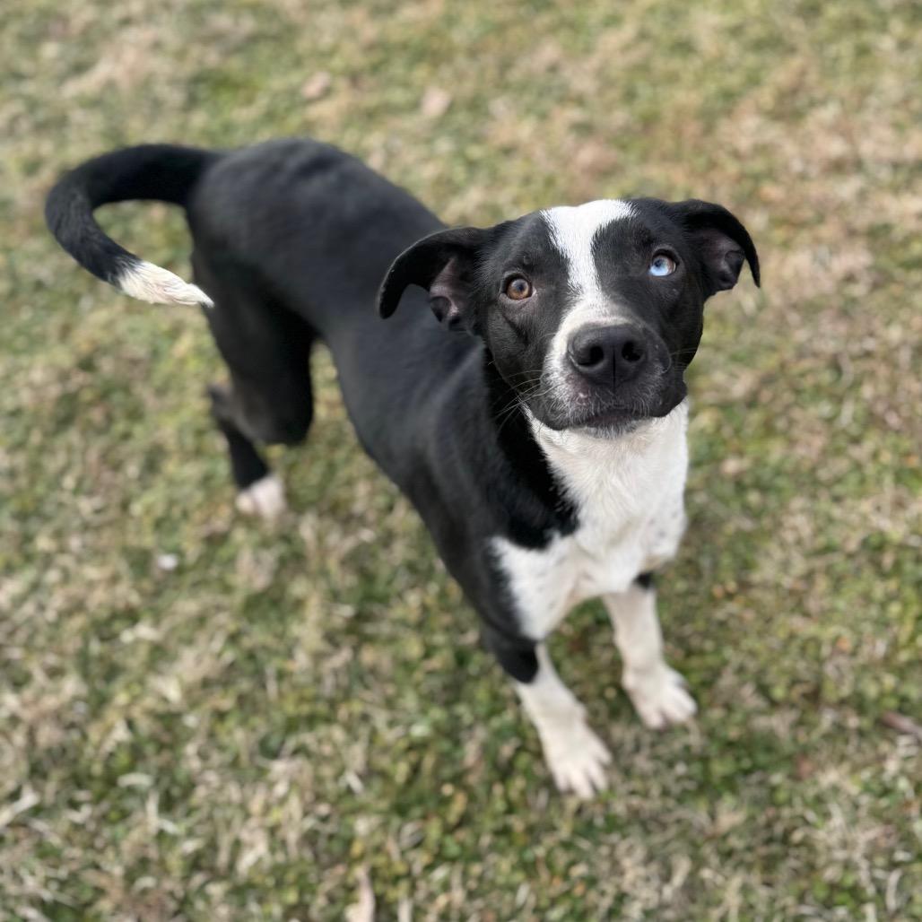 Saint — thumbnail 2