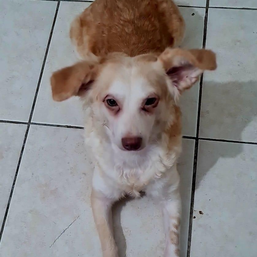 Muneca photo 4