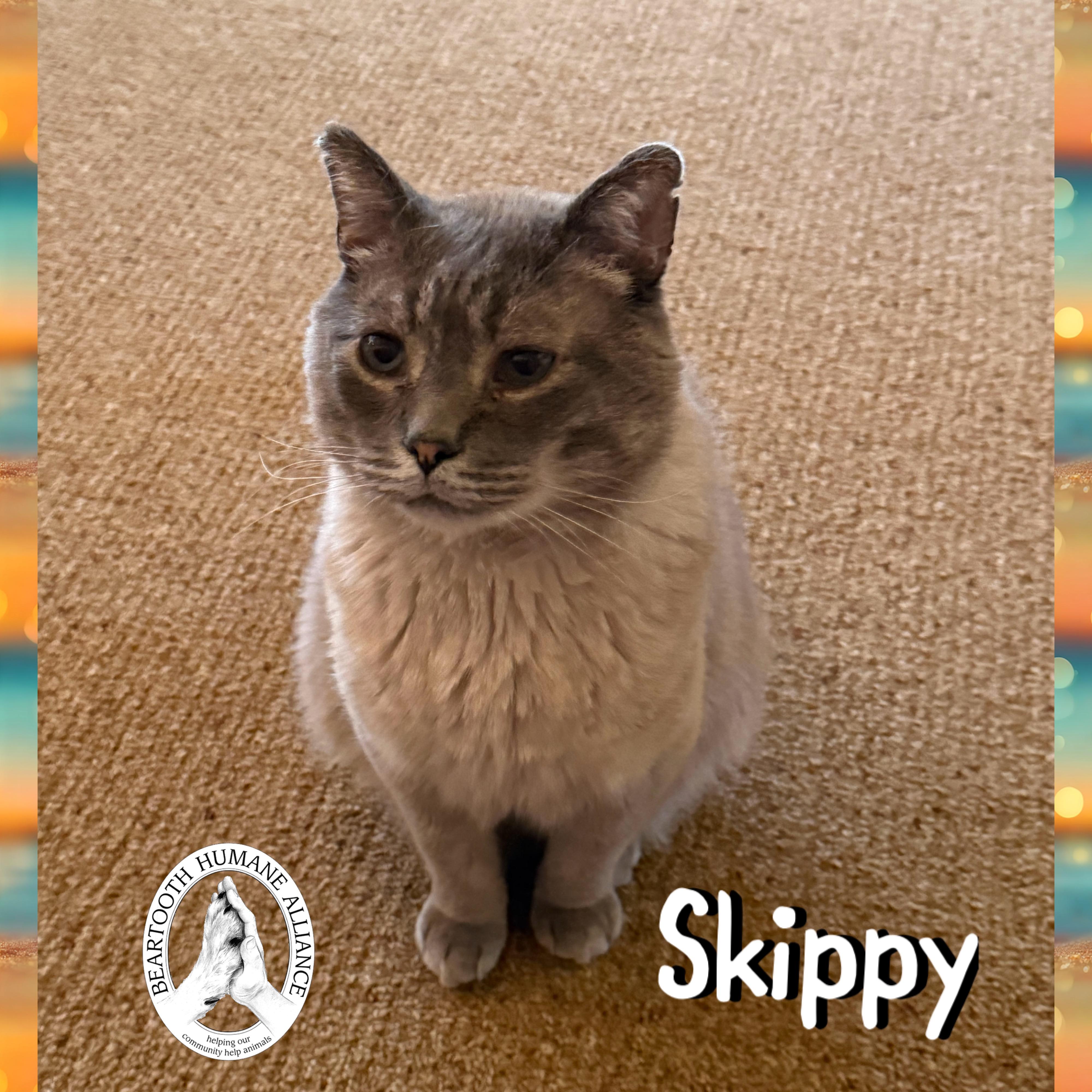 Skippy photo 3