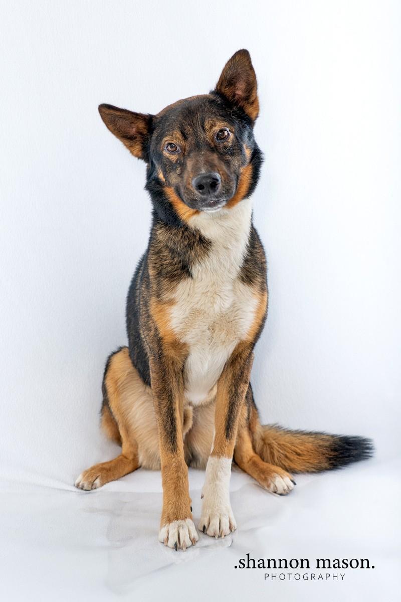 Yoshi, Young Male unknown