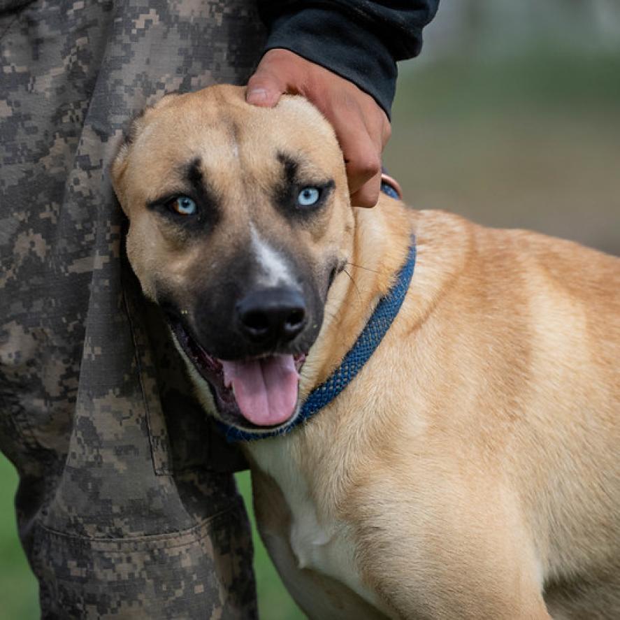 Azul JuM — thumbnail 5