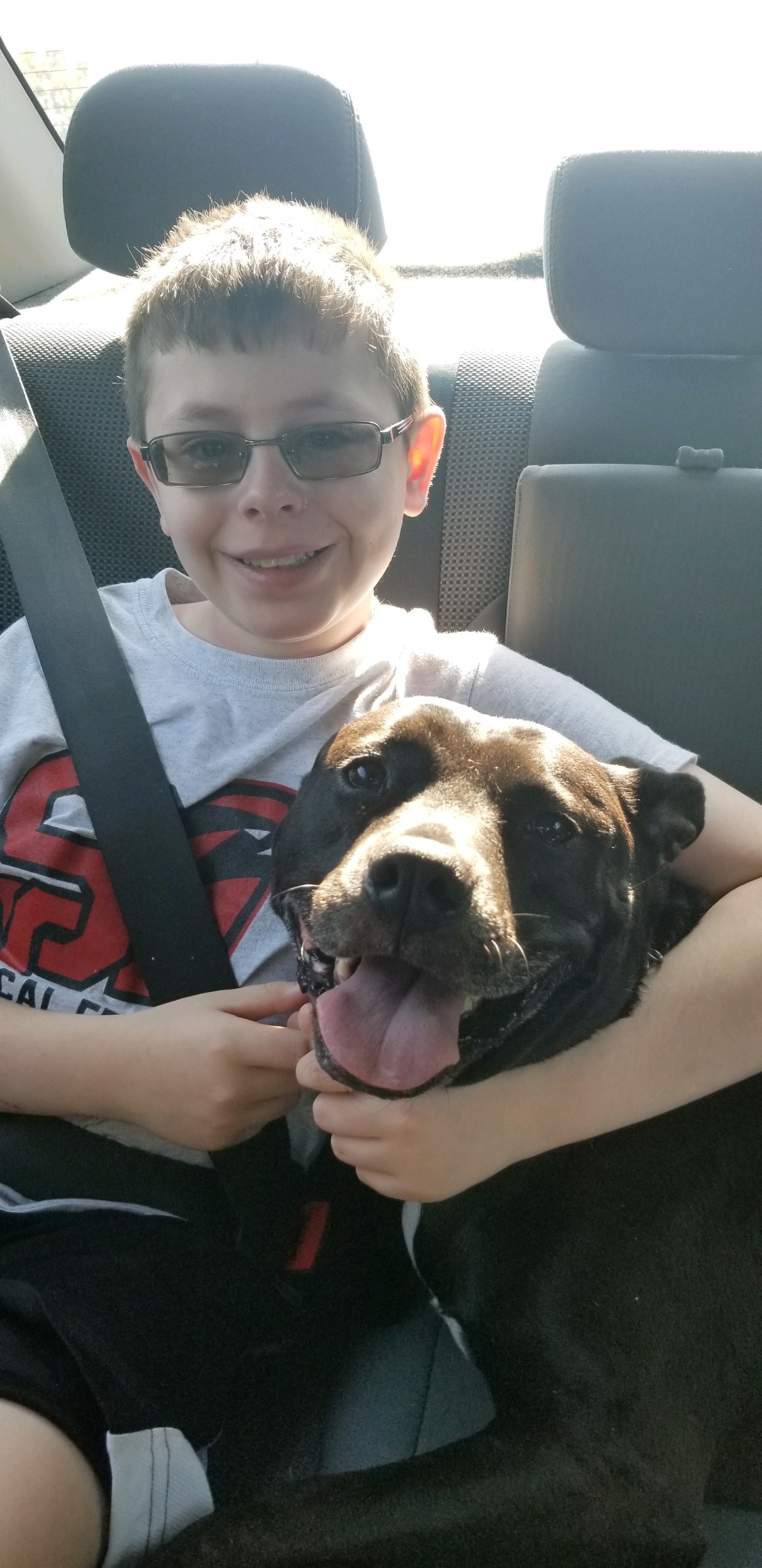 Serene, a Adoptable Pit Bull Terrier in Eagleville, TN image 2/9