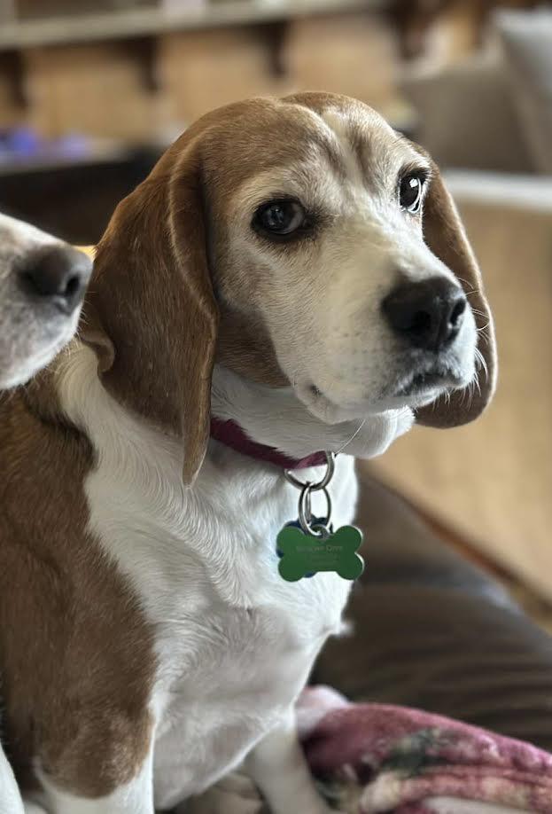 Betty — thumbnail 2