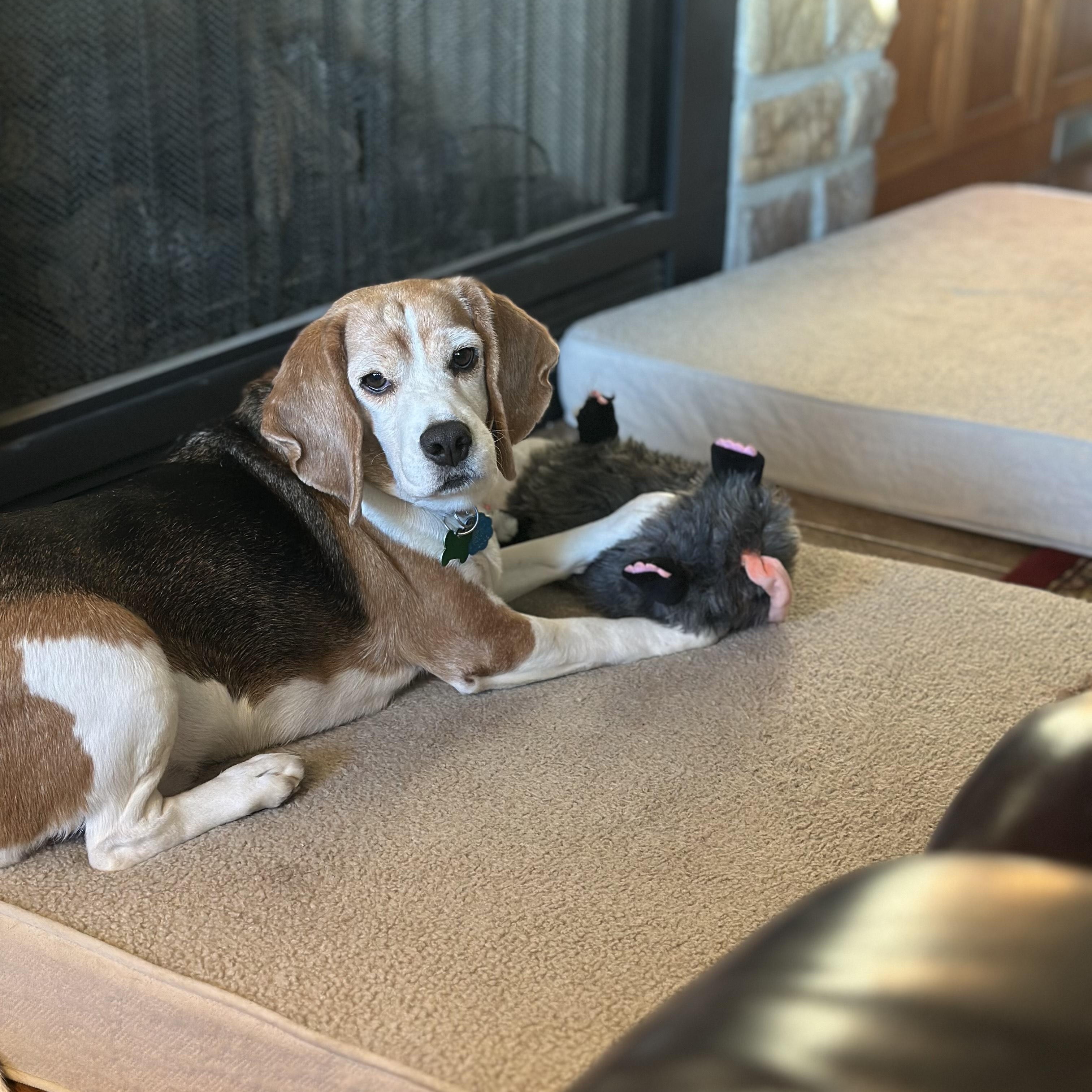 Betty — thumbnail 3